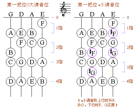 小提琴第一把位音位图,什么牌子的小提琴手工制作小提琴北京买小提琴 ...